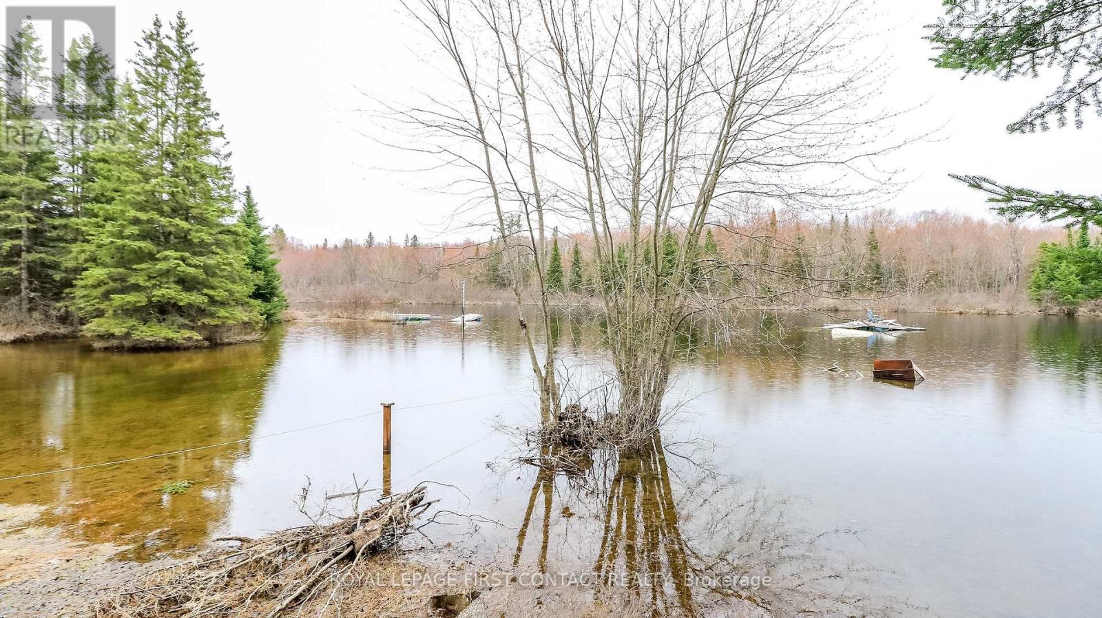 1088 Colony Road, Lake Of Bays, Ontario  P1L 1X3 - Photo 14 - X13078982