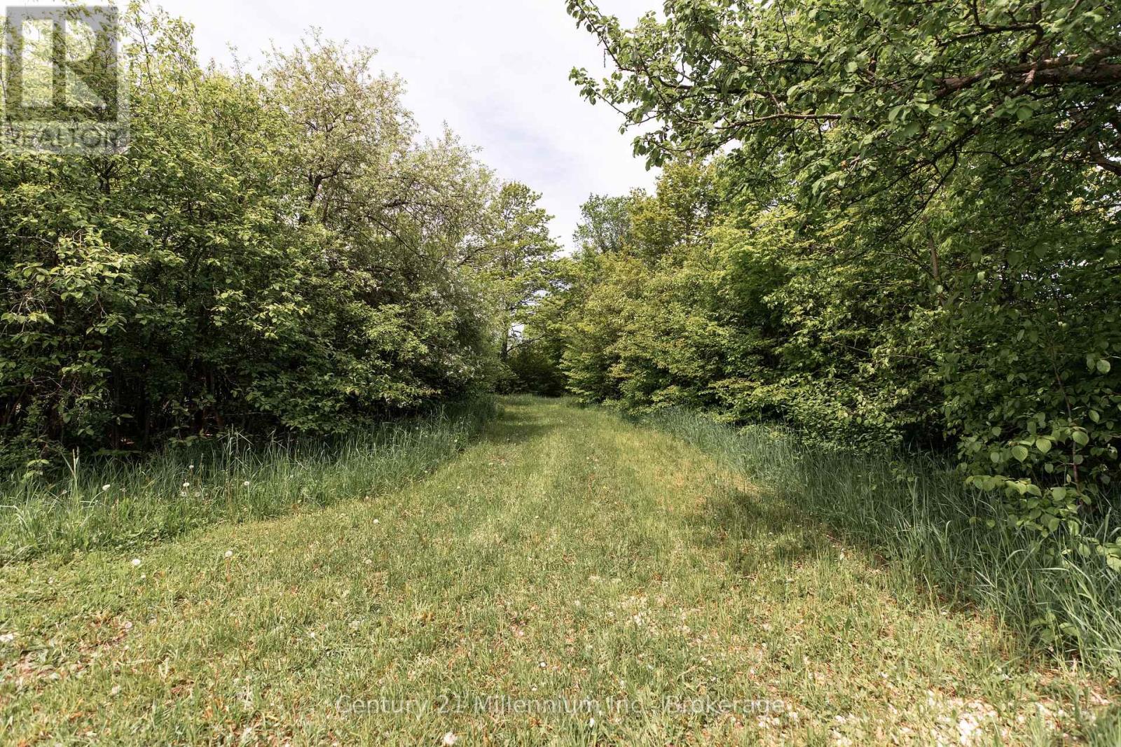 525197 Artemesia-Euphrasia Townline, Grey Highlands, Ontario  N0C 1H0 - Photo 17 - X12910926