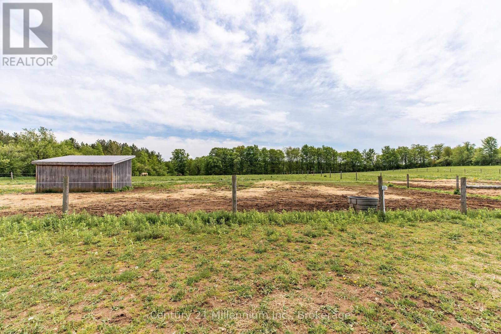 525197 Artemesia-Euphrasia Townline, Grey Highlands, Ontario  N0C 1H0 - Photo 15 - X12910926