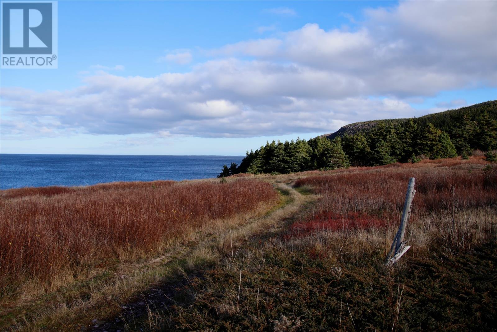 0 Broad Cove, Duntara, Newfoundland & Labrador  A0C 1M0 - Photo 4 - 1293569