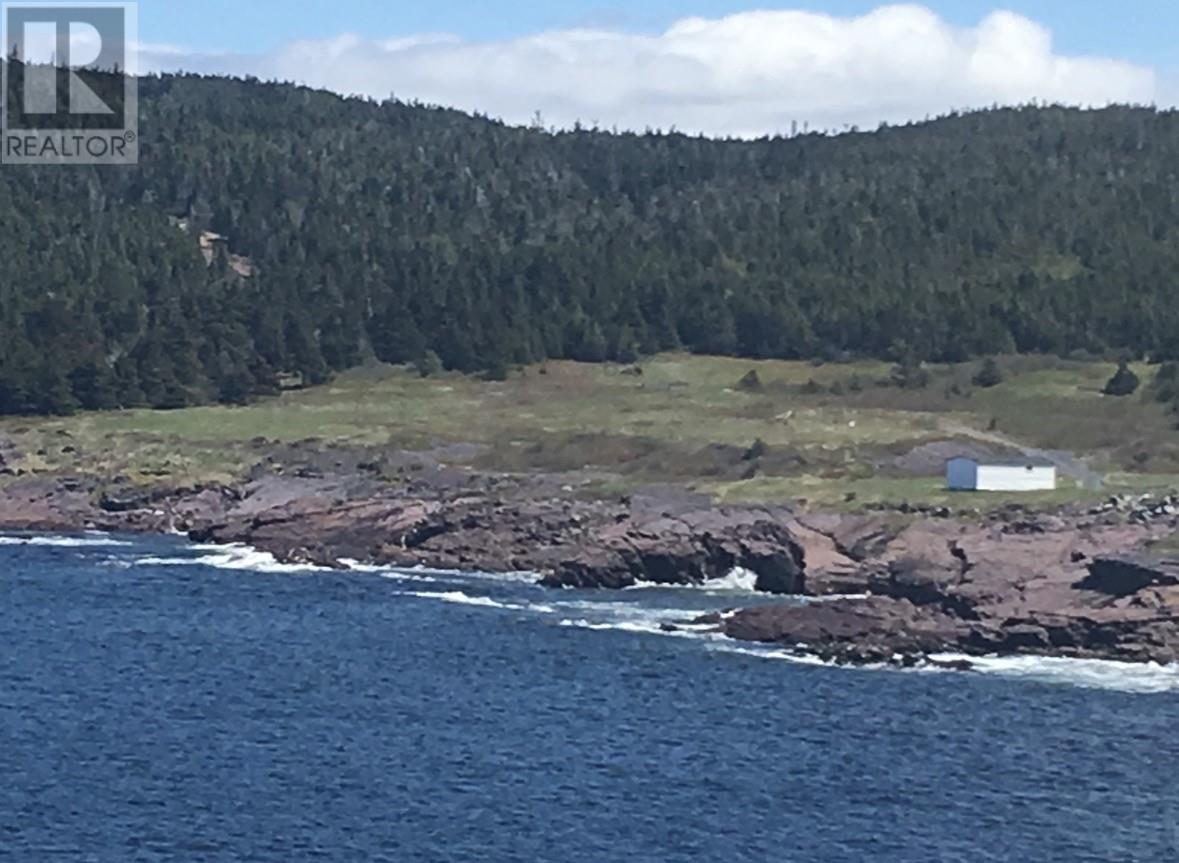 0 Broad Cove, Duntara, Newfoundland & Labrador  A0C 1M0 - Photo 1 - 1293569