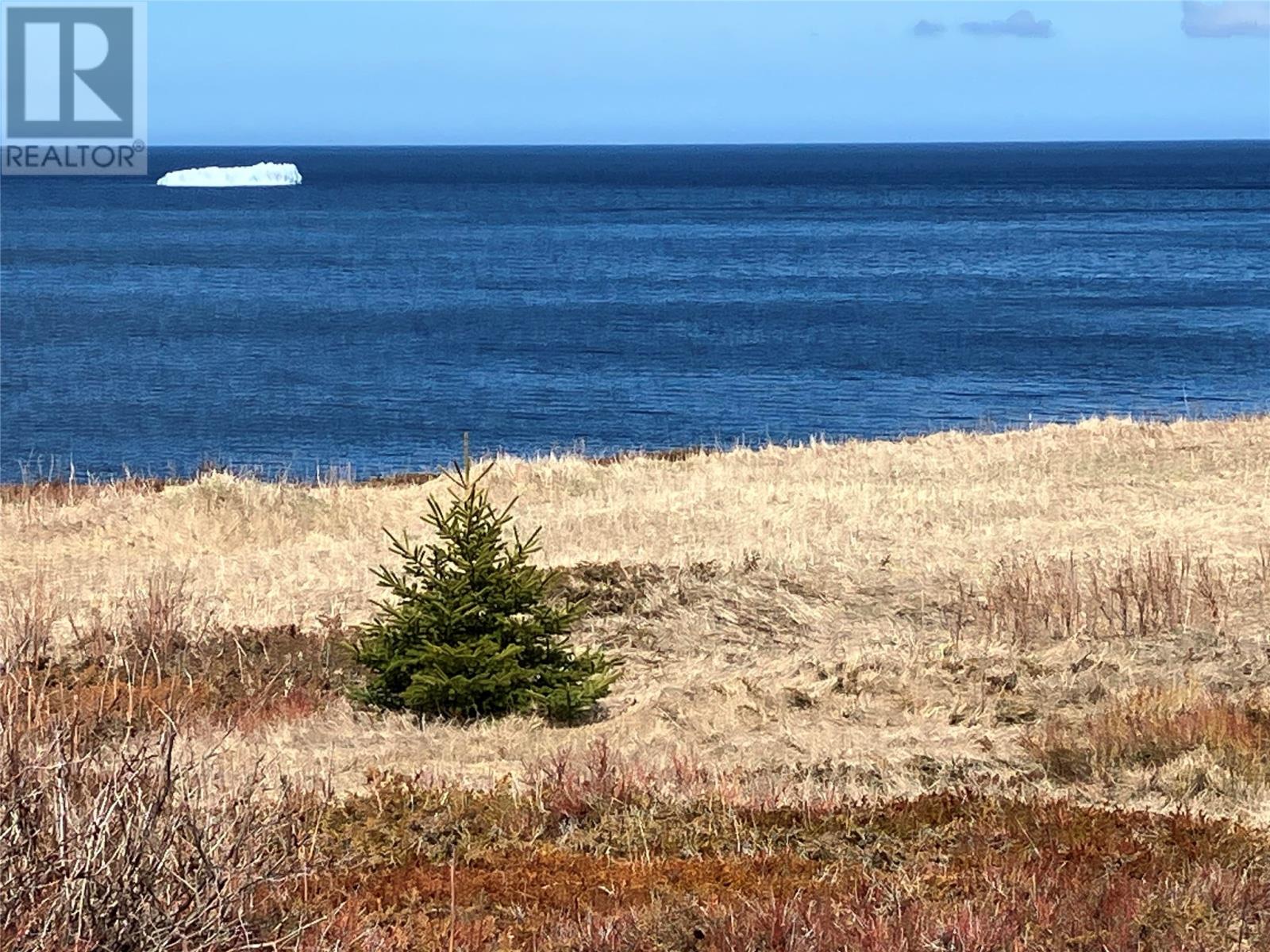 0 Broad Cove, Duntara, Newfoundland & Labrador  A0C 1M0 - Photo 7 - 1293569