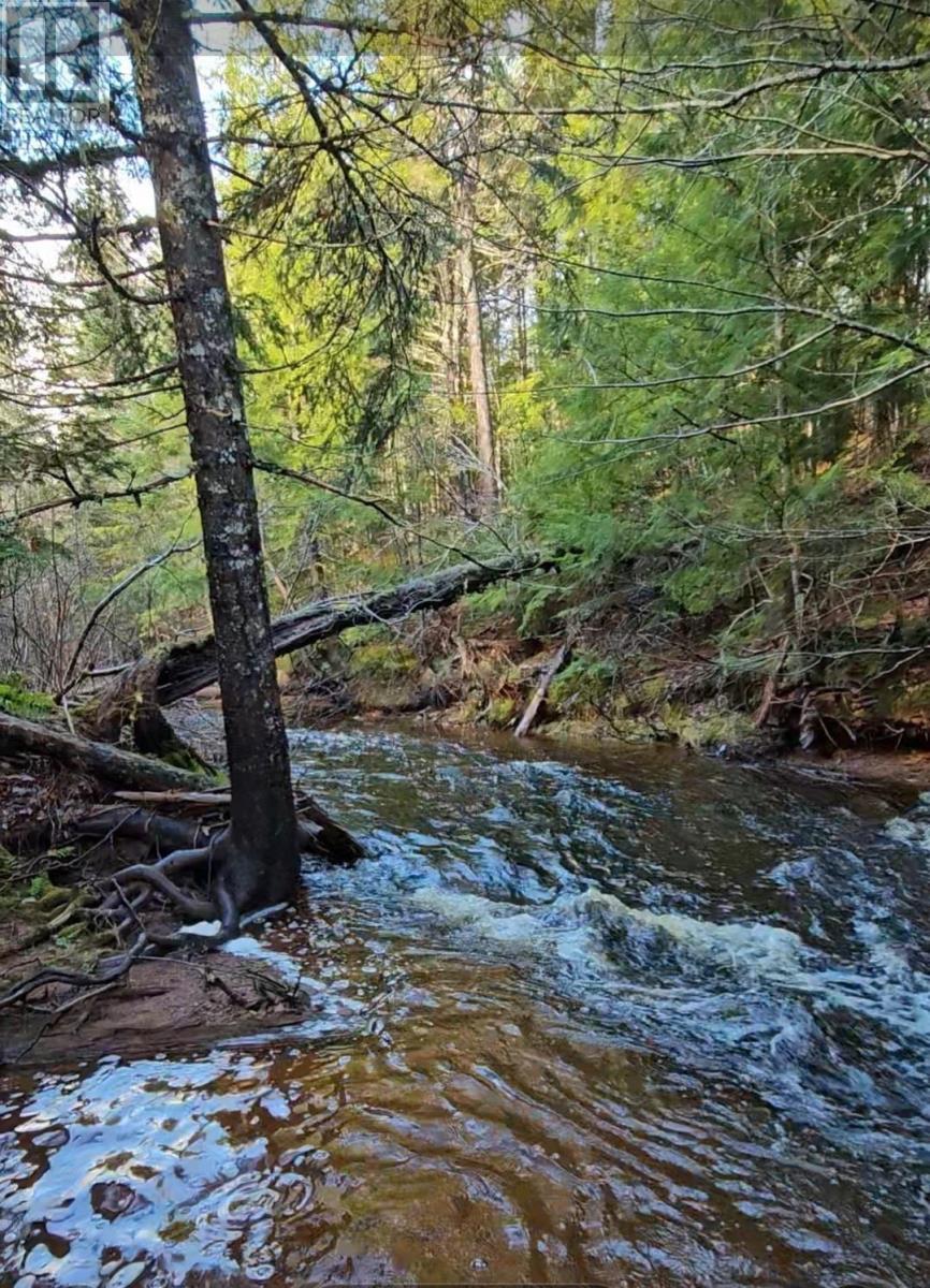 Lot 25-3 Highway #368, Wentworth, Nova Scotia  B0M 1Z0 - Photo 8 - 202521735