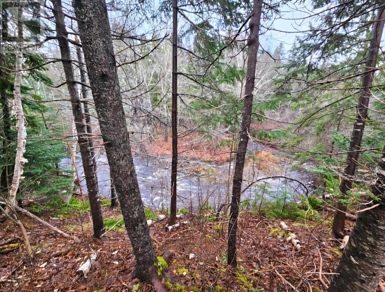 Lot 25-4 Highway #368, Wentworth, Nova Scotia  B0M 1Z0 - Photo 18 - 202521737
