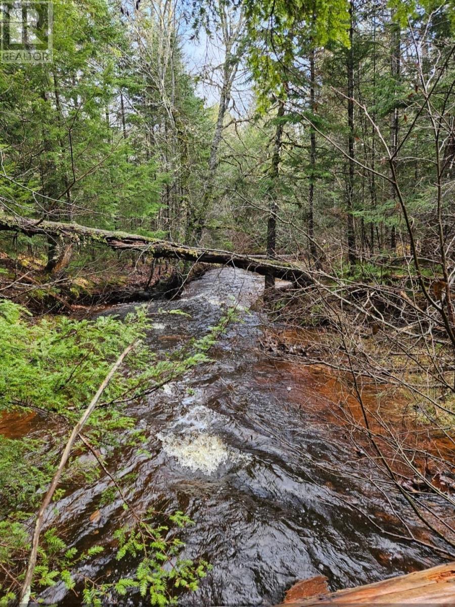 Lot 25-3 Highway #368, Wentworth, Nova Scotia  B0M 1Z0 - Photo 13 - 202521735