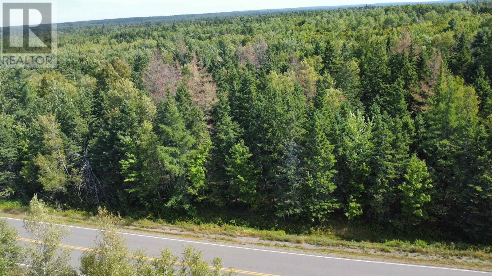 Lot 25-4 Highway #368, Wentworth, Nova Scotia  B0M 1Z0 - Photo 20 - 202521737