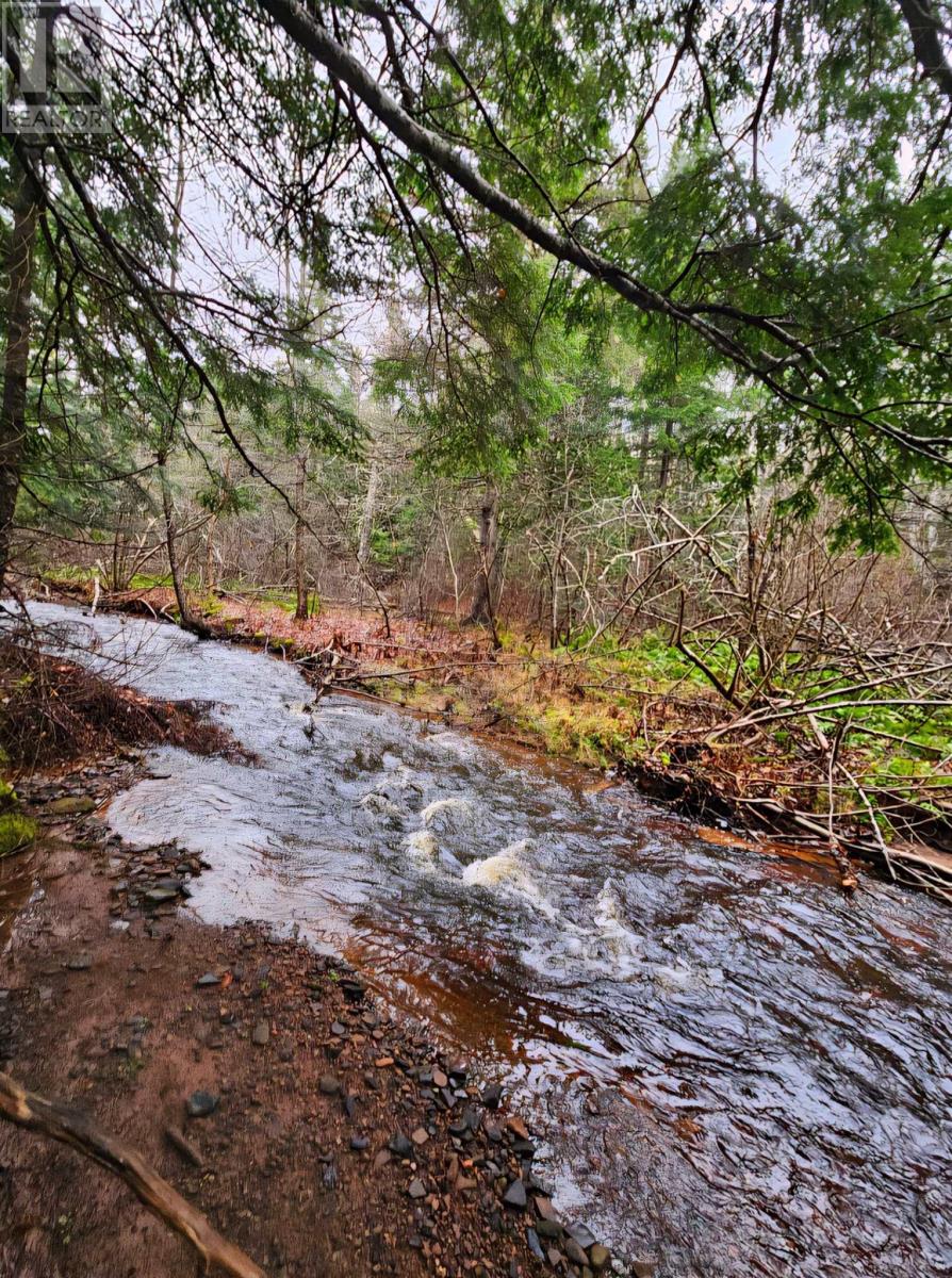 Lot 25-3 Highway #368, Wentworth, Nova Scotia  B0M 1Z0 - Photo 15 - 202521735