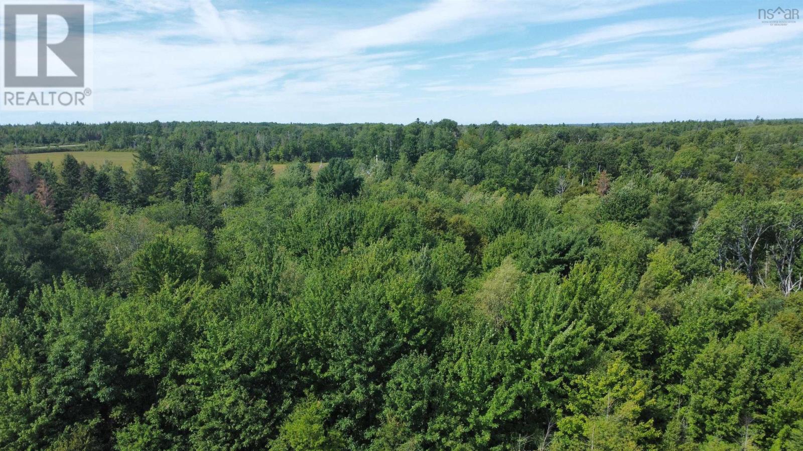 Lot 25-4 Highway #368, Wentworth, Nova Scotia  B0M 1Z0 - Photo 24 - 202521737