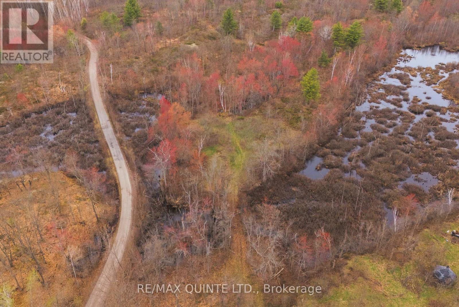 87 Gull Creek Lane, Stone Mills (Stone Mills), Ontario  K0H 1B0 - Photo 32 - X13079600
