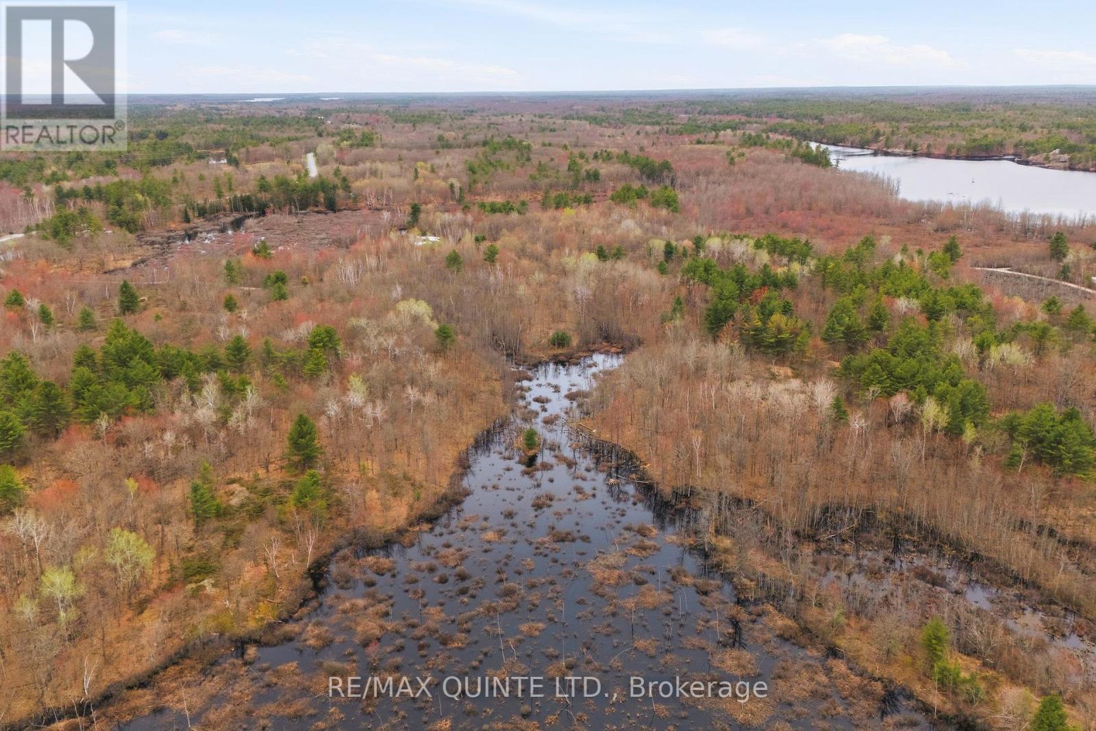 87 Gull Creek Lane, Stone Mills (Stone Mills), Ontario  K0H 1B0 - Photo 4 - X13079600