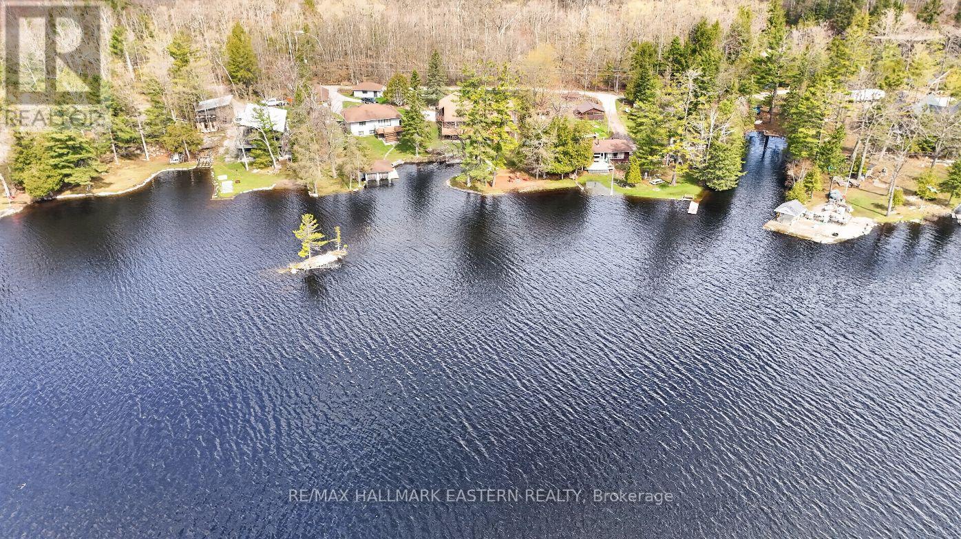 206 Fire Route 96, Trent Lakes, Ontario  K0M 1A0 - Photo 5 - X13079710