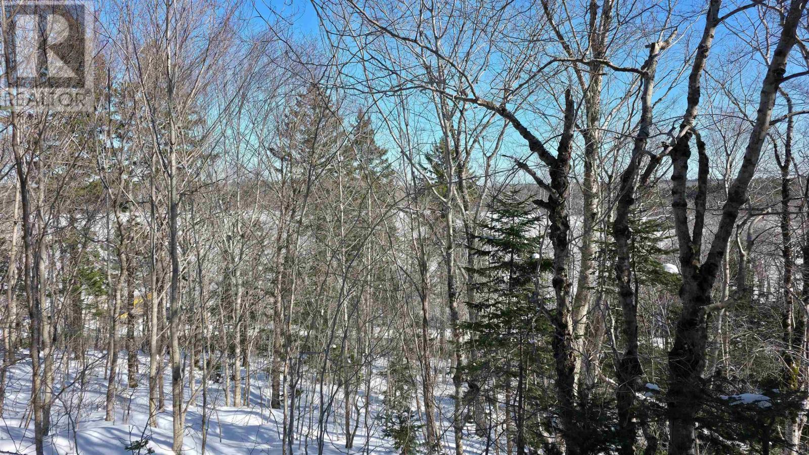 Lot 1 Mood Road, Summerville, Nova Scotia  B5A 5N6 - Photo 4 - 202602670