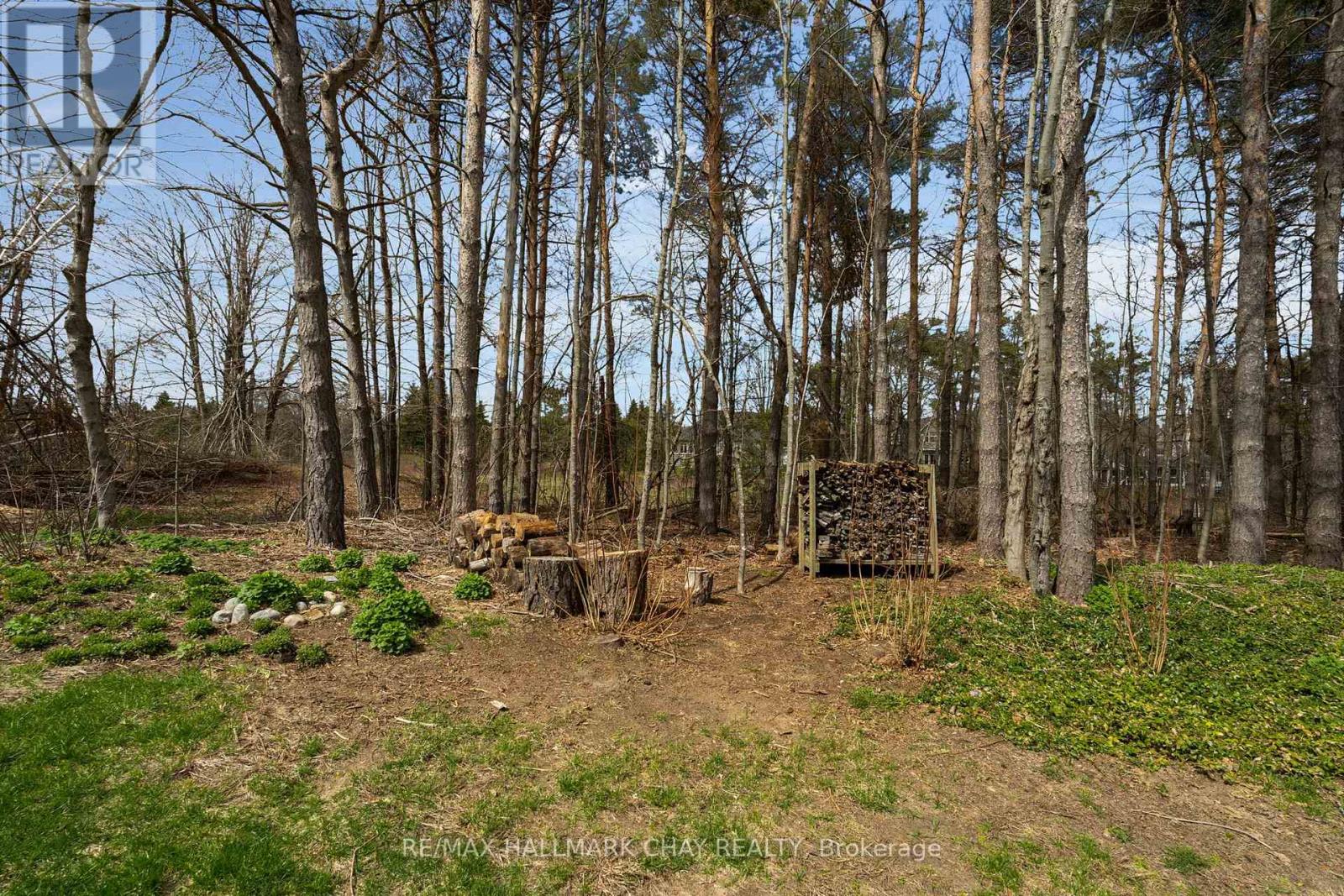 16 Chestnut Lane, Oro-Medonte, Ontario  L0L 2L0 - Photo 40 - S13079822