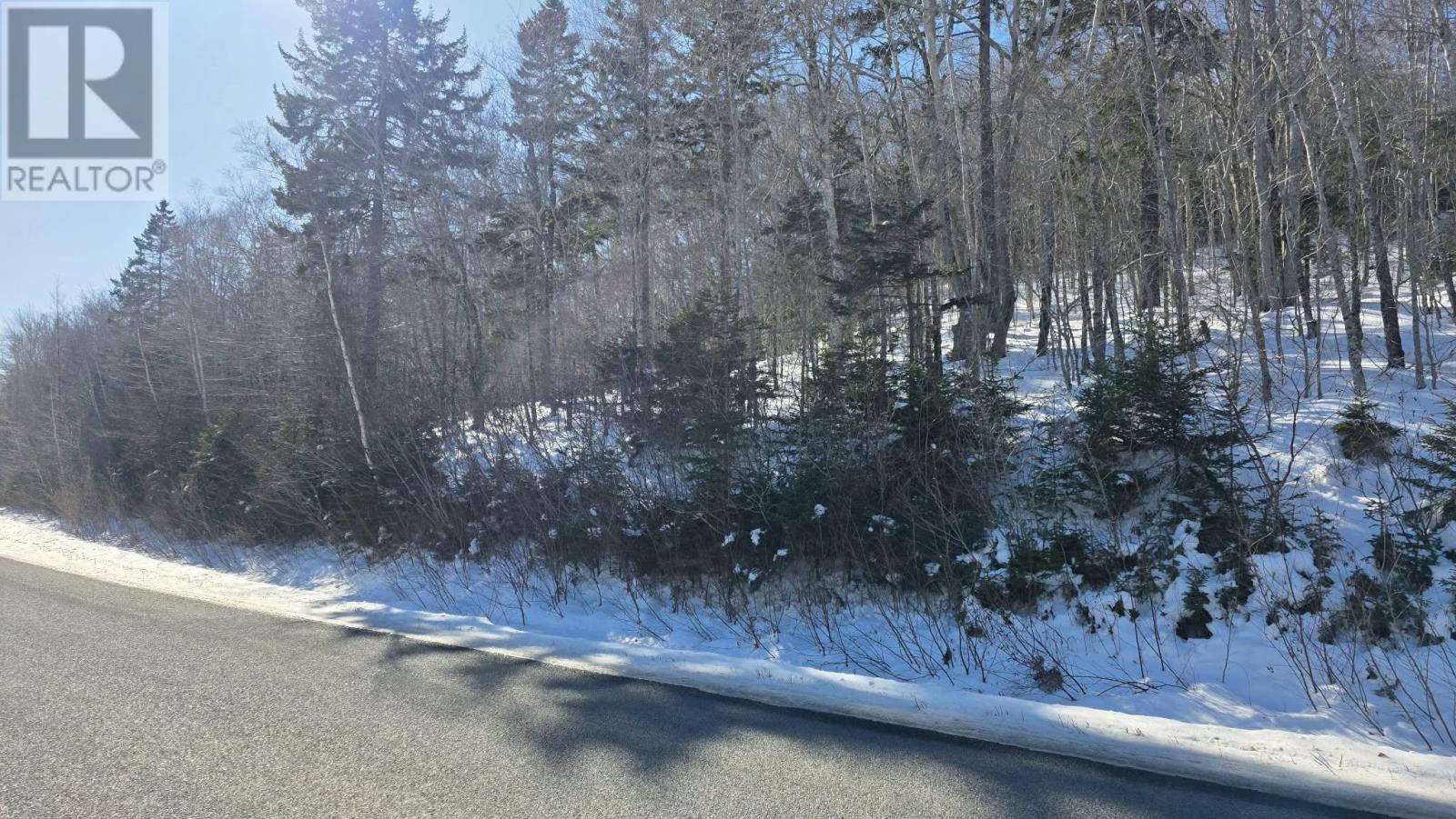 Lot 1 Mood Road, Summerville, Nova Scotia  B5A 5N6 - Photo 3 - 202602670