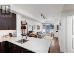 303 - 560 FRONT STREET W, Toronto, Ontario
