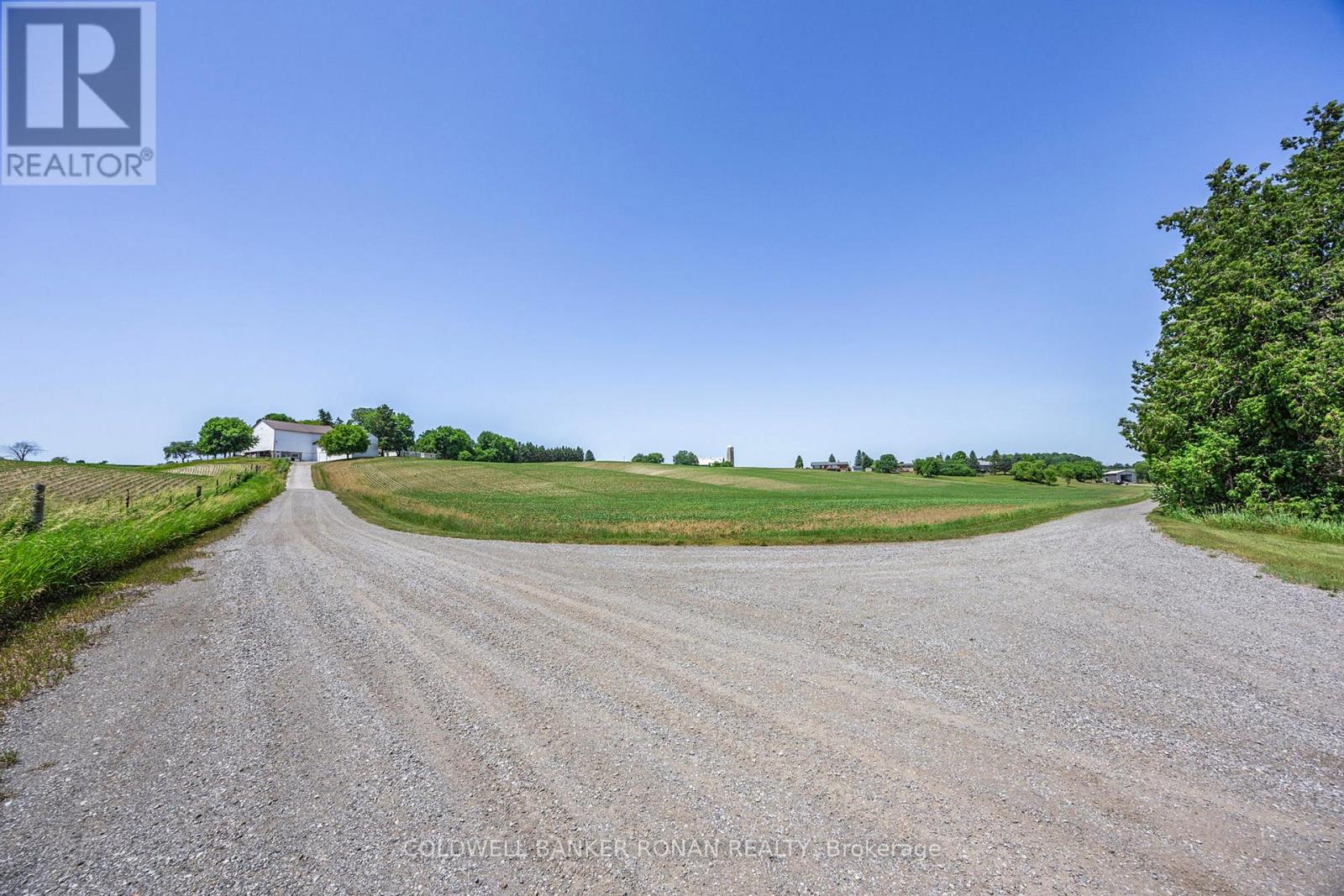 5977 13th Line, New Tecumseth, Ontario  L0L 1L0 - Photo 35 - N13078666