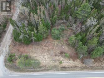 3025 Gelert Road, Minden Hills (Snowdon), Ontario  K0M 2K0 - Photo 3 - X13079894