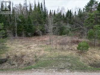 3025 Gelert Road, Minden Hills (Snowdon), Ontario  K0M 2K0 - Photo 7 - X13079894
