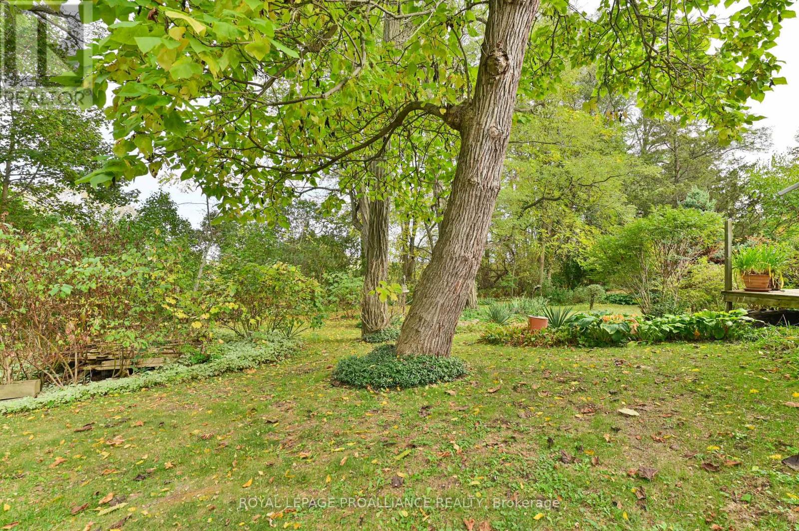 15047 County Road 2 Road, Brighton, Ontario  K0K 1H0 - Photo 41 - X13079940
