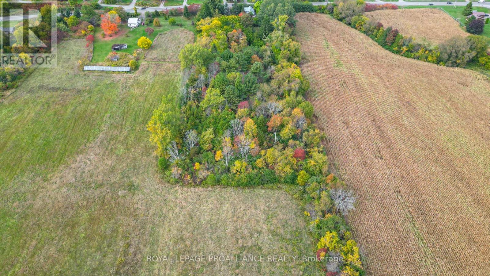 15047 County Road 2 Road, Brighton, Ontario  K0K 1H0 - Photo 50 - X13079940