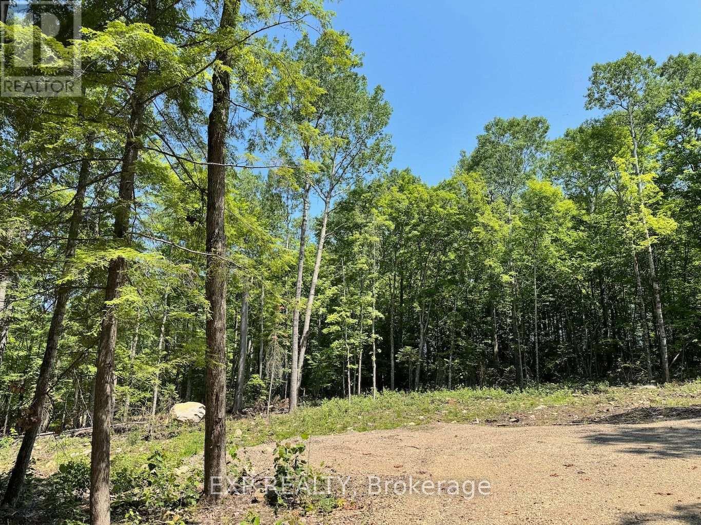 Lot 2 Lakewoods Drive, Madawaska Valley, Ontario  K0J 1B0 - Photo 2 - X13079870