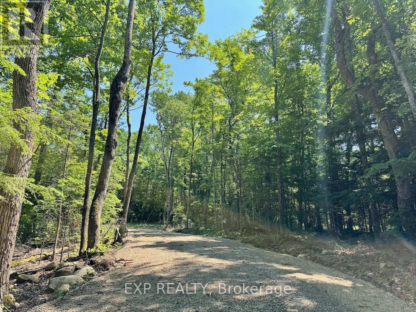 Lot 2 Lakewoods Drive, Madawaska Valley, Ontario  K0J 1B0 - Photo 4 - X13079870