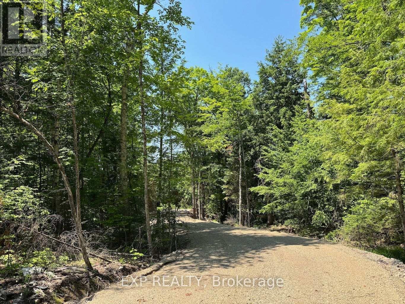 Lot 6 Lakewoods Drive, Madawaska Valley, Ontario  K0J 1B0 - Photo 4 - X13079872