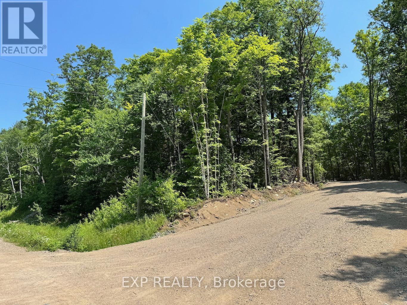 Lot 6 Lakewoods Drive, Madawaska Valley, Ontario  K0J 1B0 - Photo 6 - X13079872