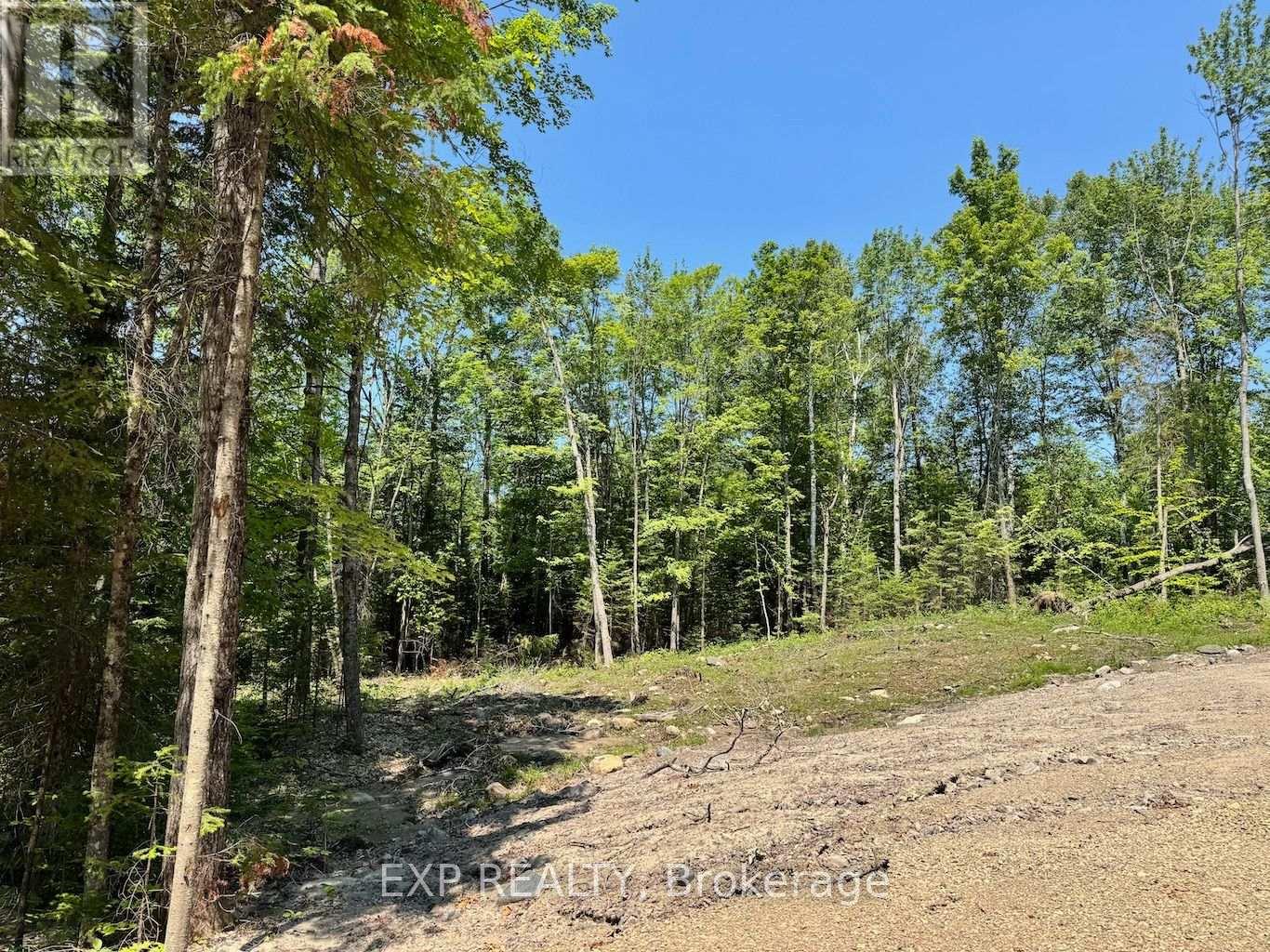 Lot 8 Lakewoods Drive, Madawaska Valley, Ontario  K0J 1B0 - Photo 3 - X13079876