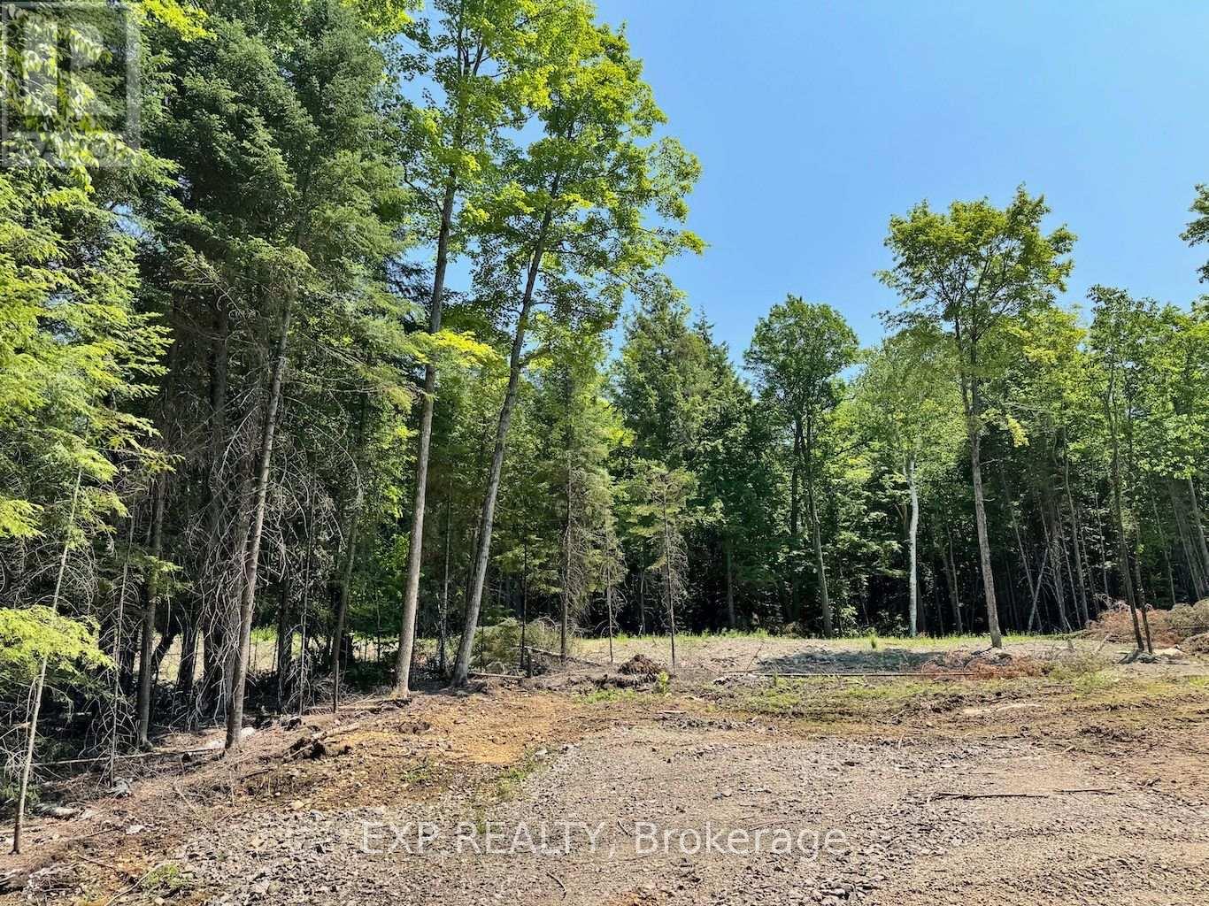 Lot 14 Lakewoods Drive, Madawaska Valley, Ontario  K0J 1B0 - Photo 1 - X13079880