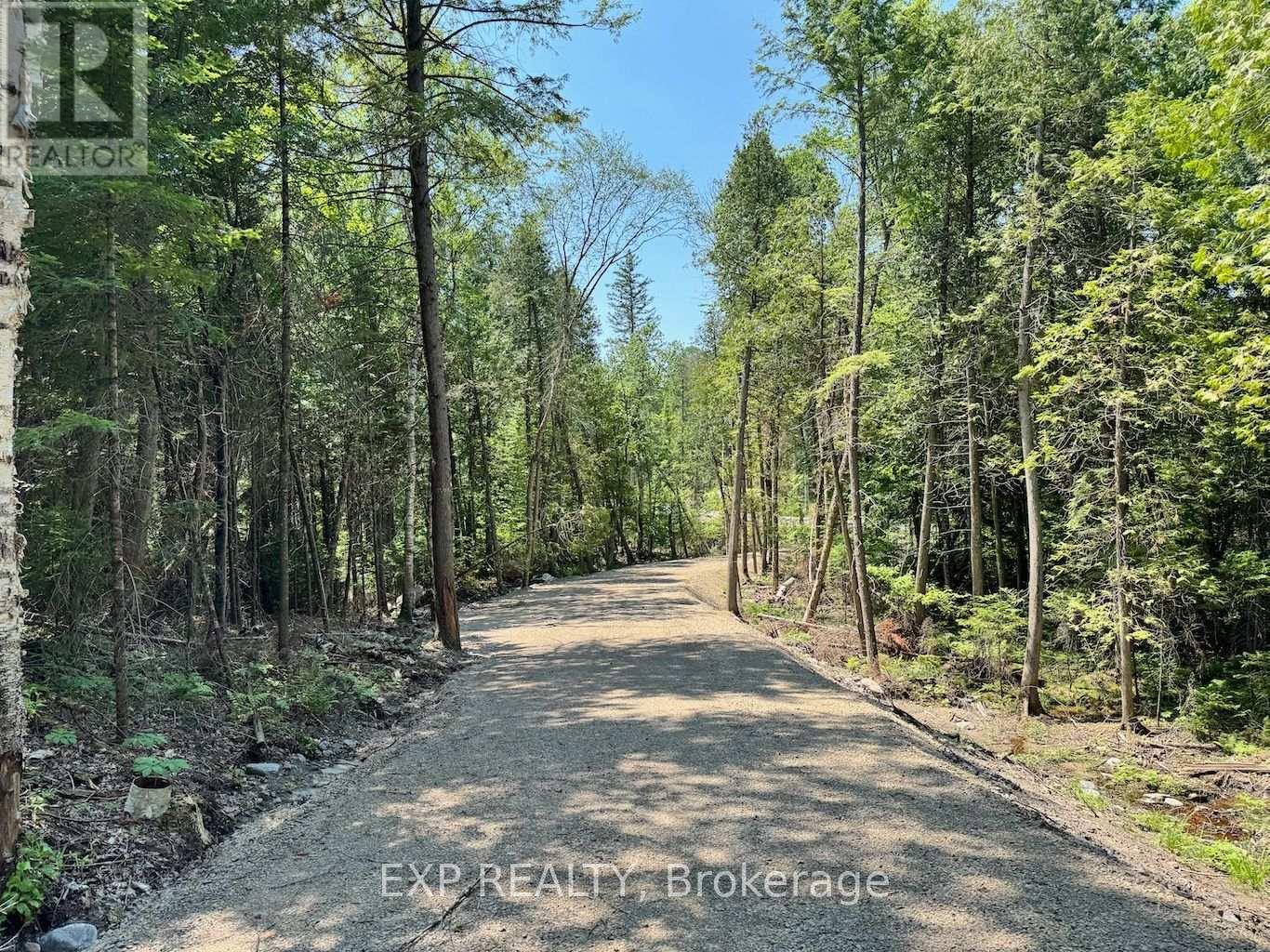 Lot 14 Lakewoods Drive, Madawaska Valley, Ontario  K0J 1B0 - Photo 7 - X13079880