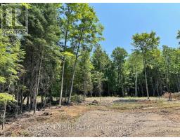 LOT 14 LAKEWOODS DRIVE, Madawaska Valley, Ontario