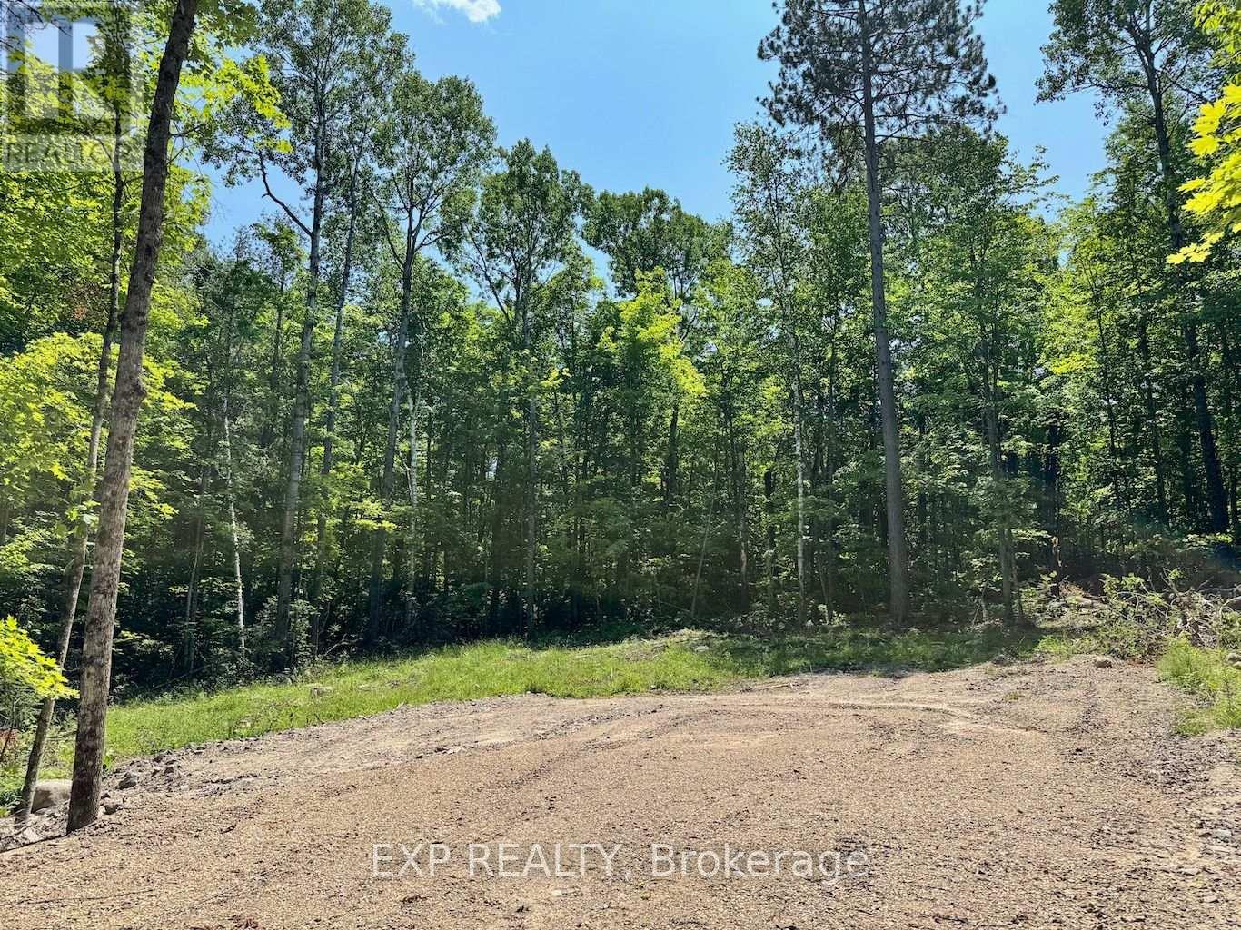 Lot 16 Lakewoods Drive, Madawaska Valley, Ontario  K0J 1B0 - Photo 1 - X13079884