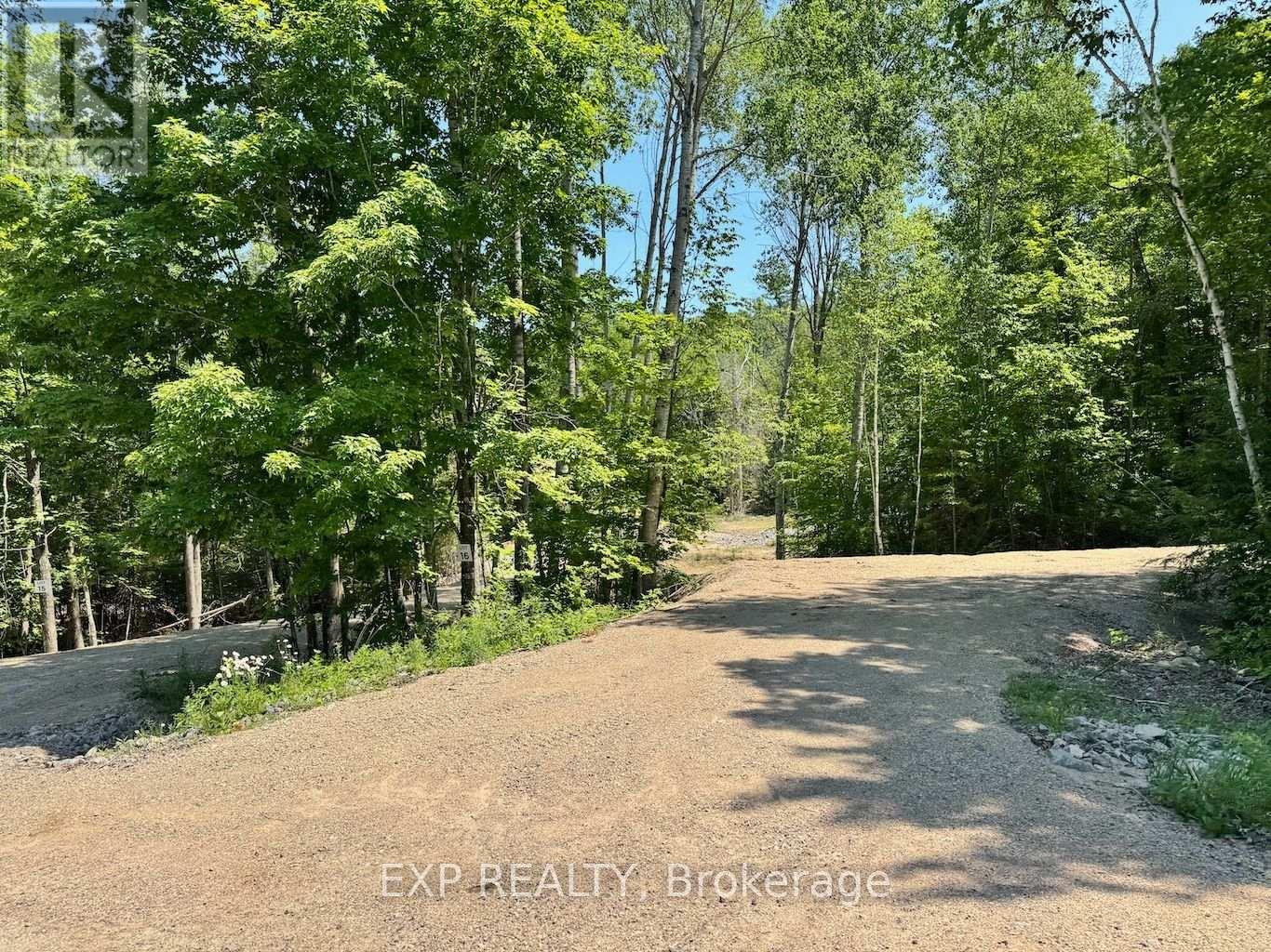 Lot 16 Lakewoods Drive, Madawaska Valley, Ontario  K0J 1B0 - Photo 2 - X13079884