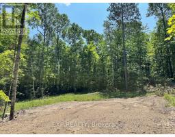 LOT 16 LAKEWOODS DRIVE, Madawaska Valley, Ontario