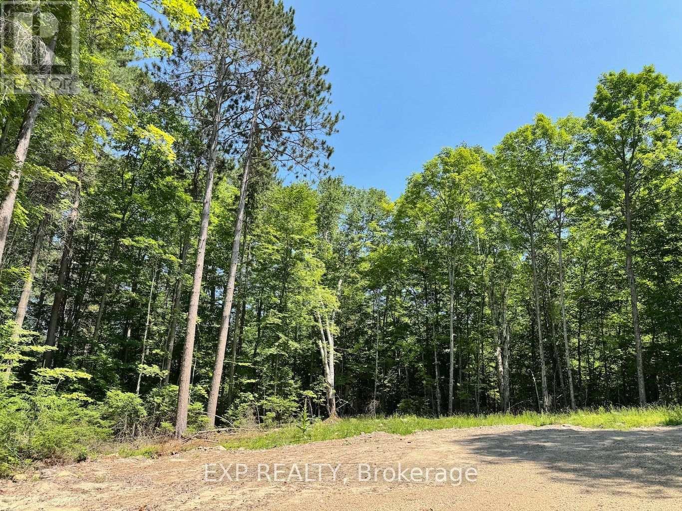 Lot 17 Lakewoods Drive, Madawaska Valley, Ontario  K0J 1B0 - Photo 1 - X13079886