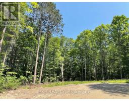 LOT 17 LAKEWOODS DRIVE, Madawaska Valley, Ontario