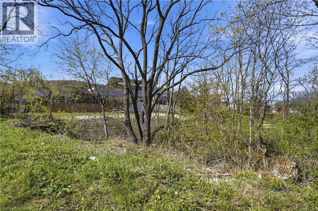 15 Robinson Street N, Grimsby, Ontario  L3M 3C8 - Photo 7 - 40825685