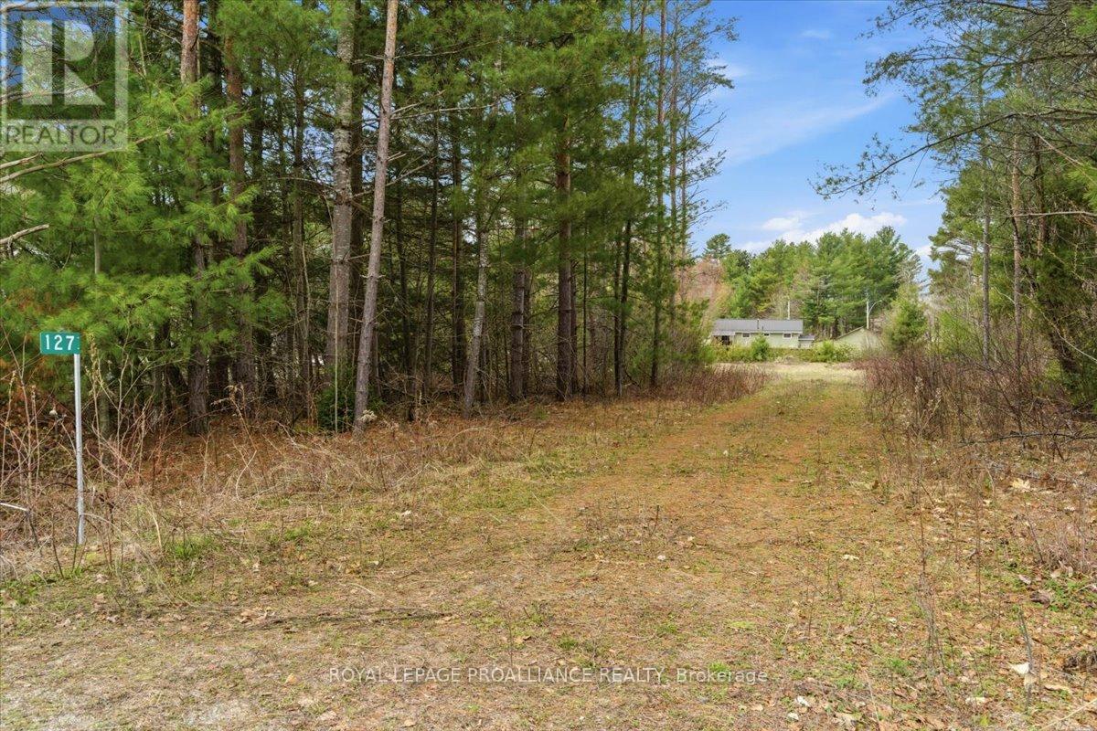 127 Lloyd Street, Addington Highlands, Ontario  K0H 2G0 - Photo 4 - X13080078
