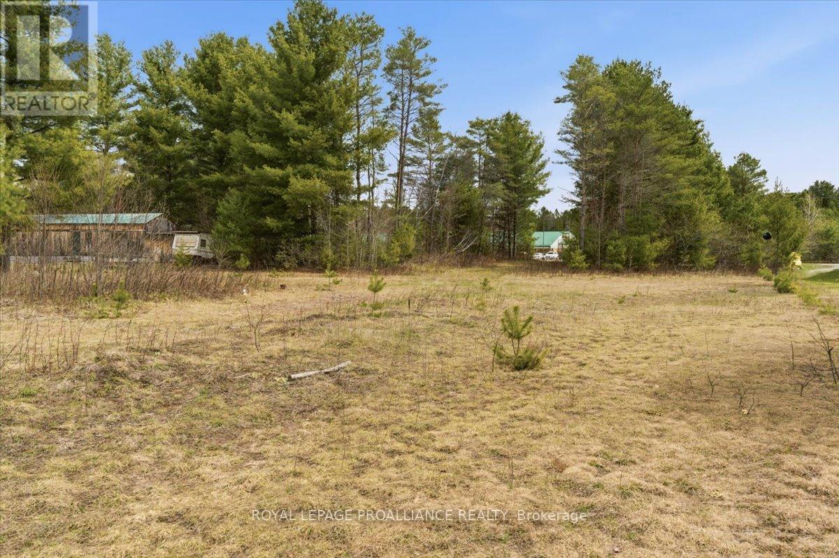 127 Lloyd Street, Addington Highlands, Ontario  K0H 2G0 - Photo 5 - X13080078