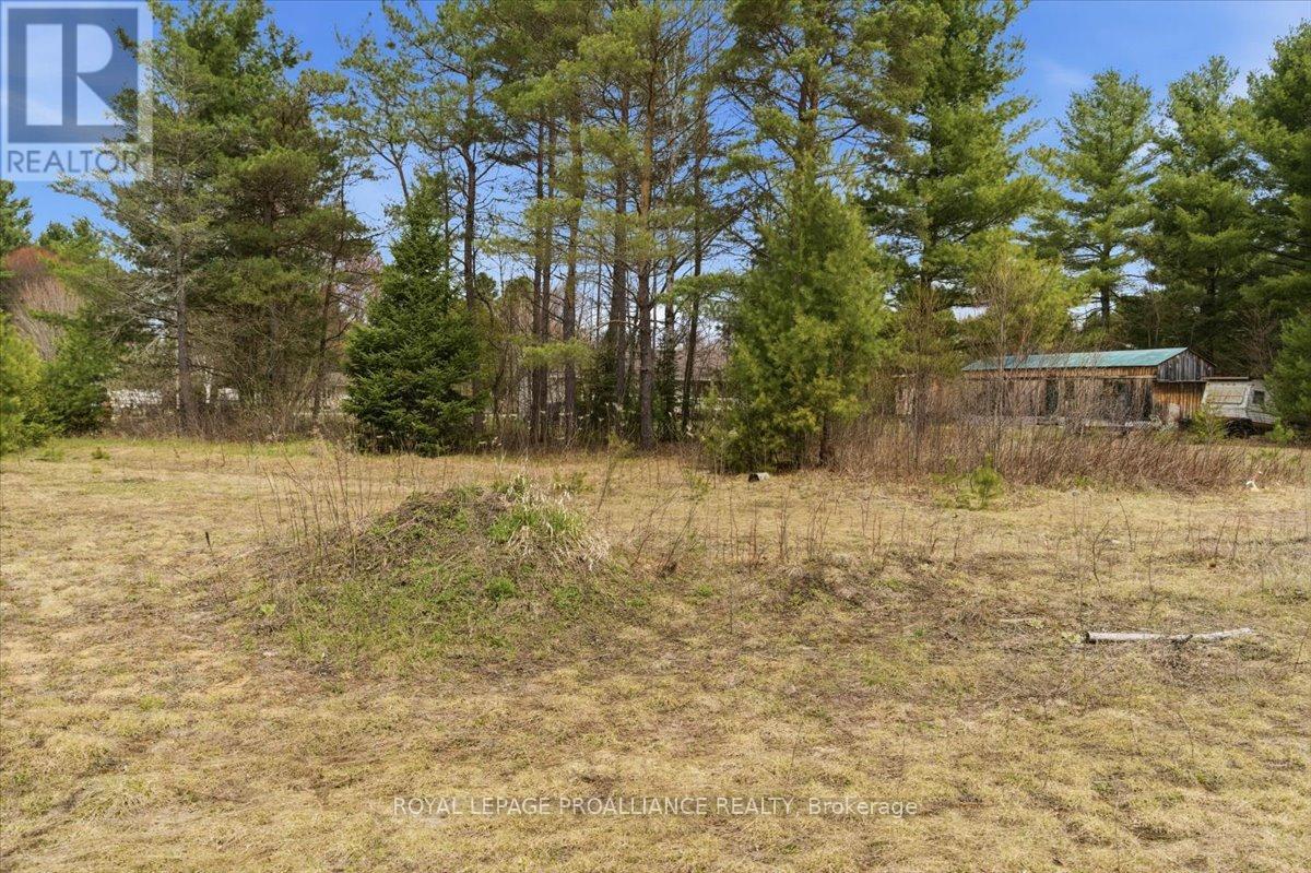127 Lloyd Street, Addington Highlands, Ontario  K0H 2G0 - Photo 6 - X13080078