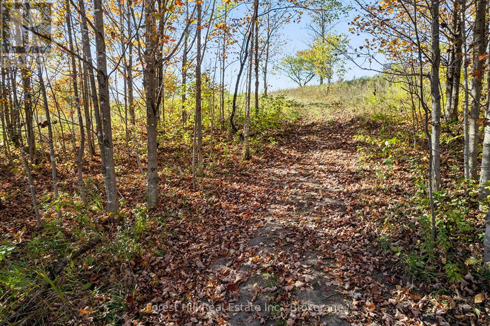 240 Lookout Drive, West Grey, Ontario  N0C 1H0 - Photo 38 - X12930556