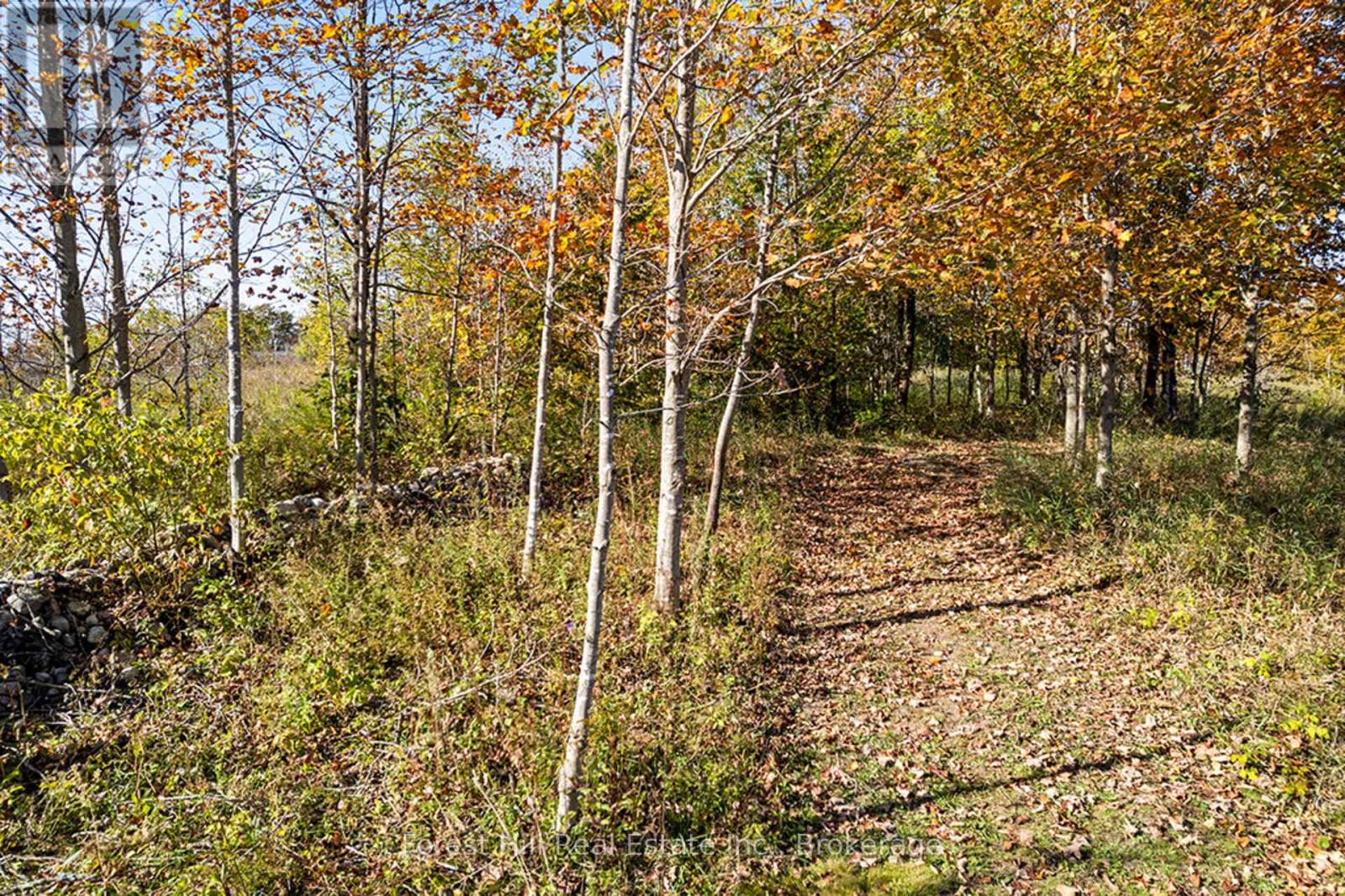 240 Lookout Drive, West Grey, Ontario  N0C 1H0 - Photo 37 - X12930556