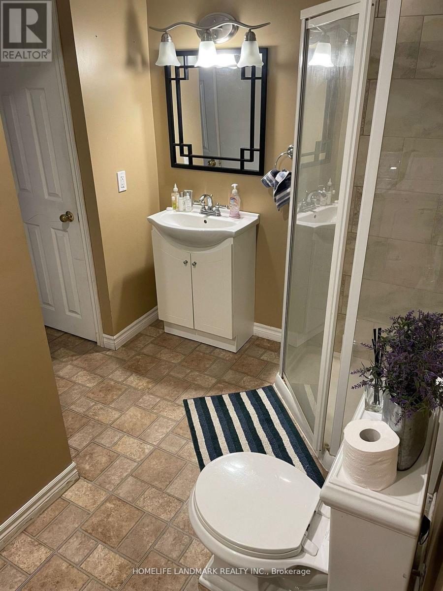 Bsmnt - 1057 Leslie Valley Drive, Newmarket, Ontario  L3Y 7C7 - Photo 7 - N13080320