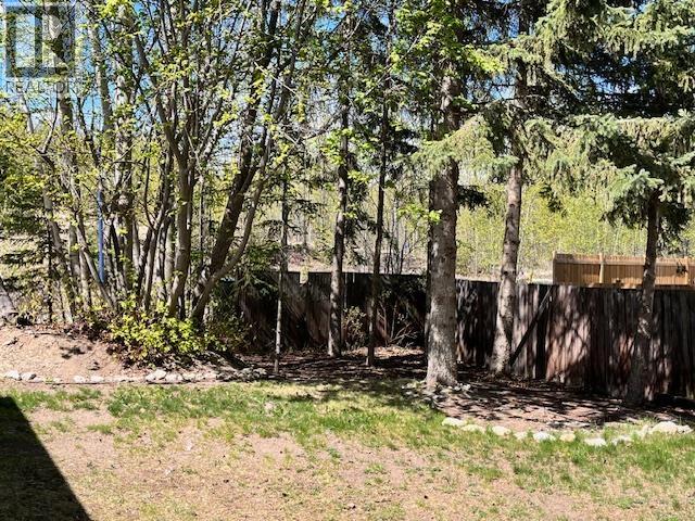 1417 Lewis Drive, Quesnel, British Columbia  V2J 5T5 - Photo 5 - R3119012