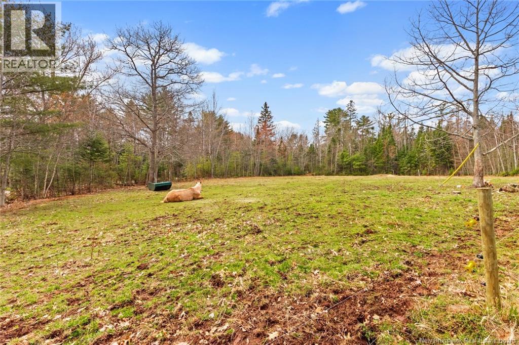 177 Lower Coytown Road, Upper Gagetown, New Brunswick  E5M 1M6 - Photo 37 - NB138616