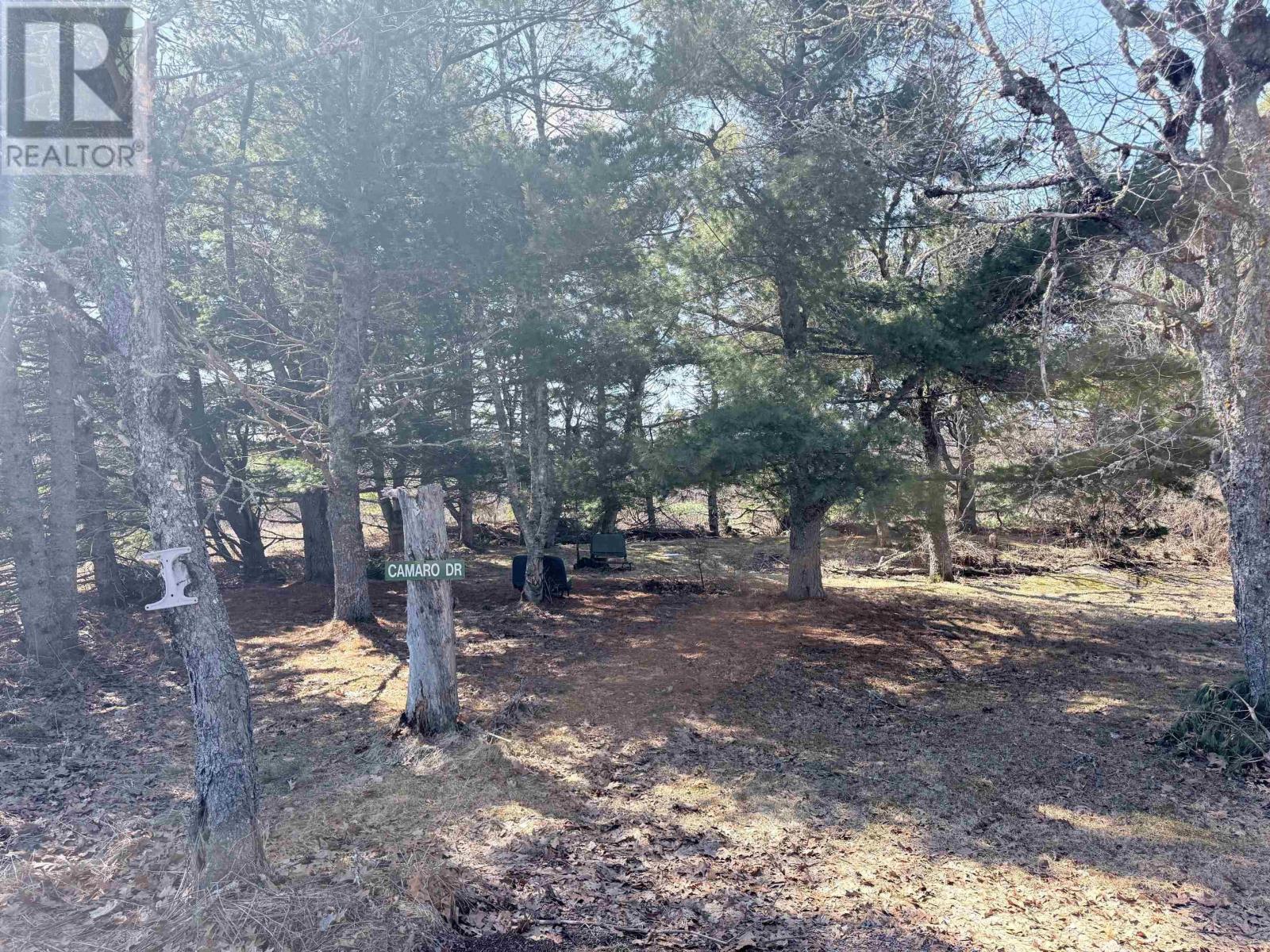 219 West River East Side Road, West River Station, Nova Scotia  B0K 1Z0 - Photo 22 - 202602342