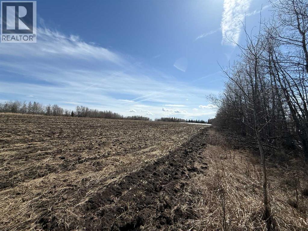 Lot 4 Canyon Road, Athabasca, Alberta  T9S 1B4 - Photo 5 - A2292708