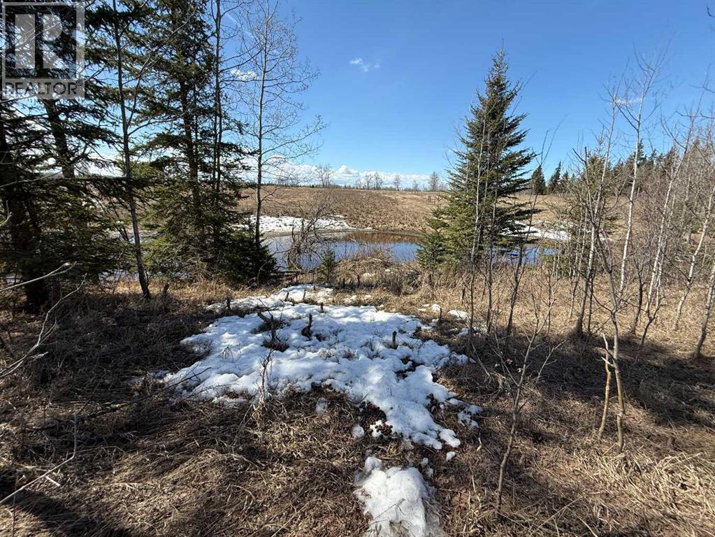 Lot 4 Canyon Road, Athabasca, Alberta  T9S 1B4 - Photo 3 - A2292708