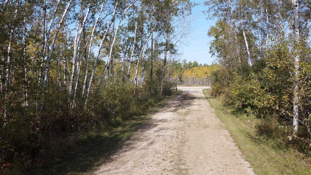 37092 36n Road, Steinbach, Manitoba  R0A 0W1 - Photo 2 - 202605049